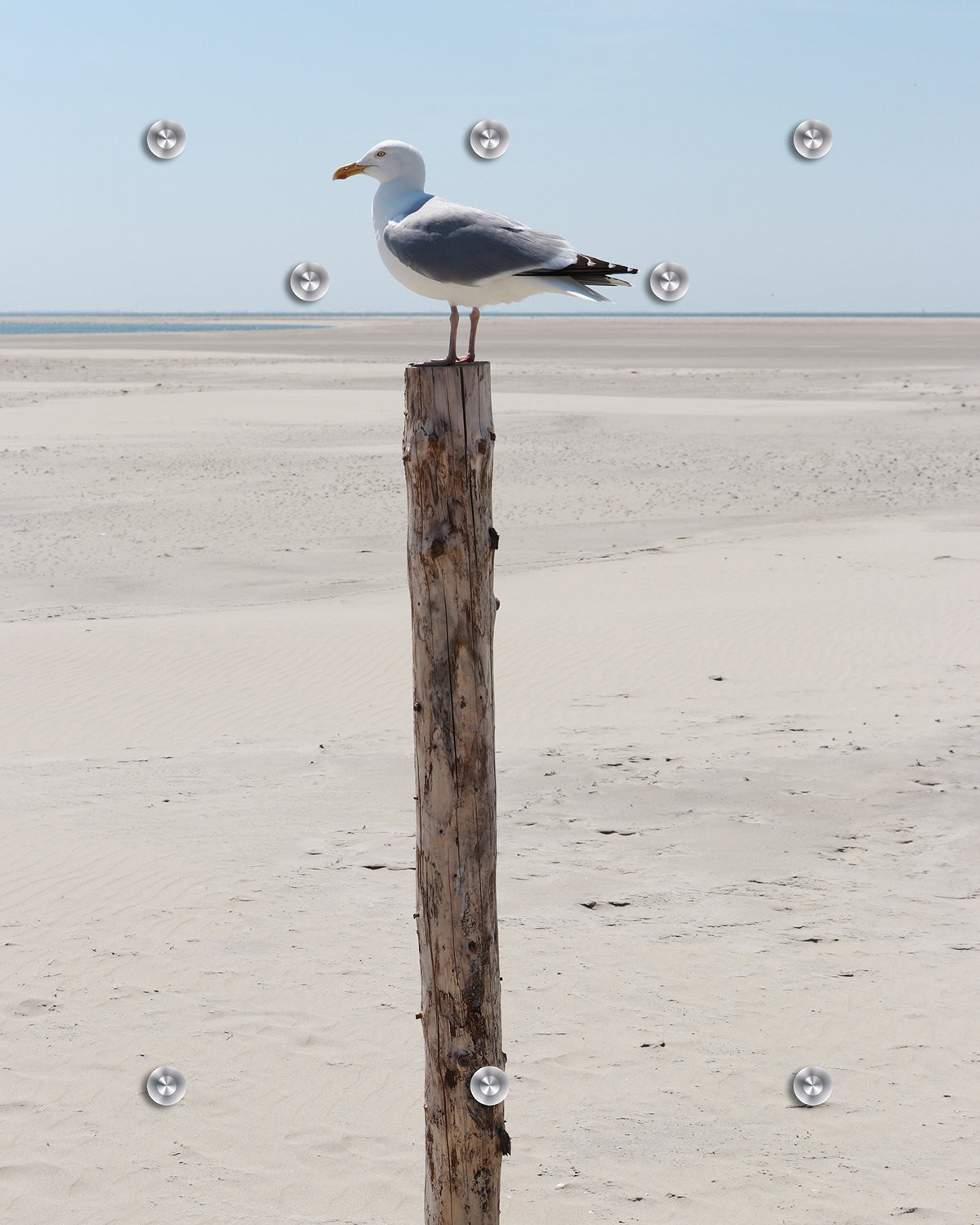 Garderobe - Möwe auf Stamm