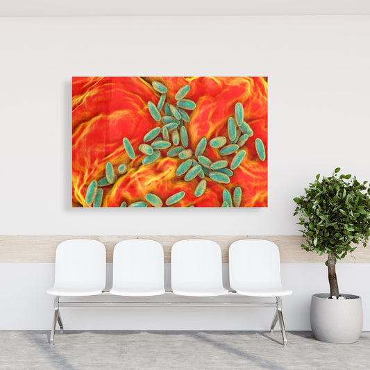 Medical Office Art - Plague bacteria - Einrichtungsbeispiel Foto