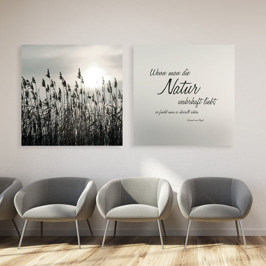 Leinwandbild - Natur wahrhaft lieben 6 - Einrichtungsbeispiel Foto
