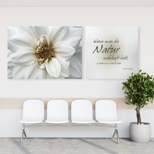Leinwandbild - Natur wahrhaft lieben - Einrichtungsbeispiel Foto