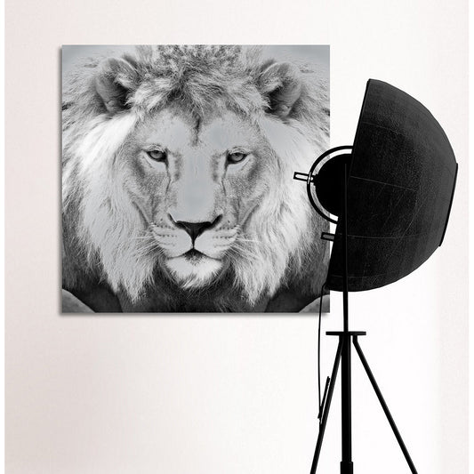 Aluminiumbild - Lions King Wohnbeispiel