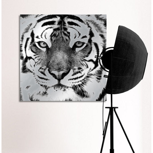 Aluminiumbild - Tiger Wohnbeispiel