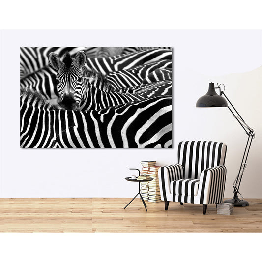 Acrylglasbild - Zebra World Wohnbeispiel