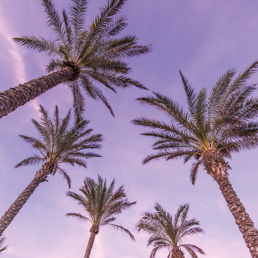 Kissenbezug - Milla Detail