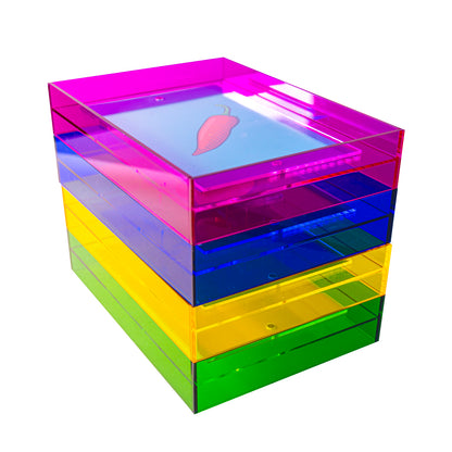 Acrylglas Bilderrahmen - Vier Neonfarben