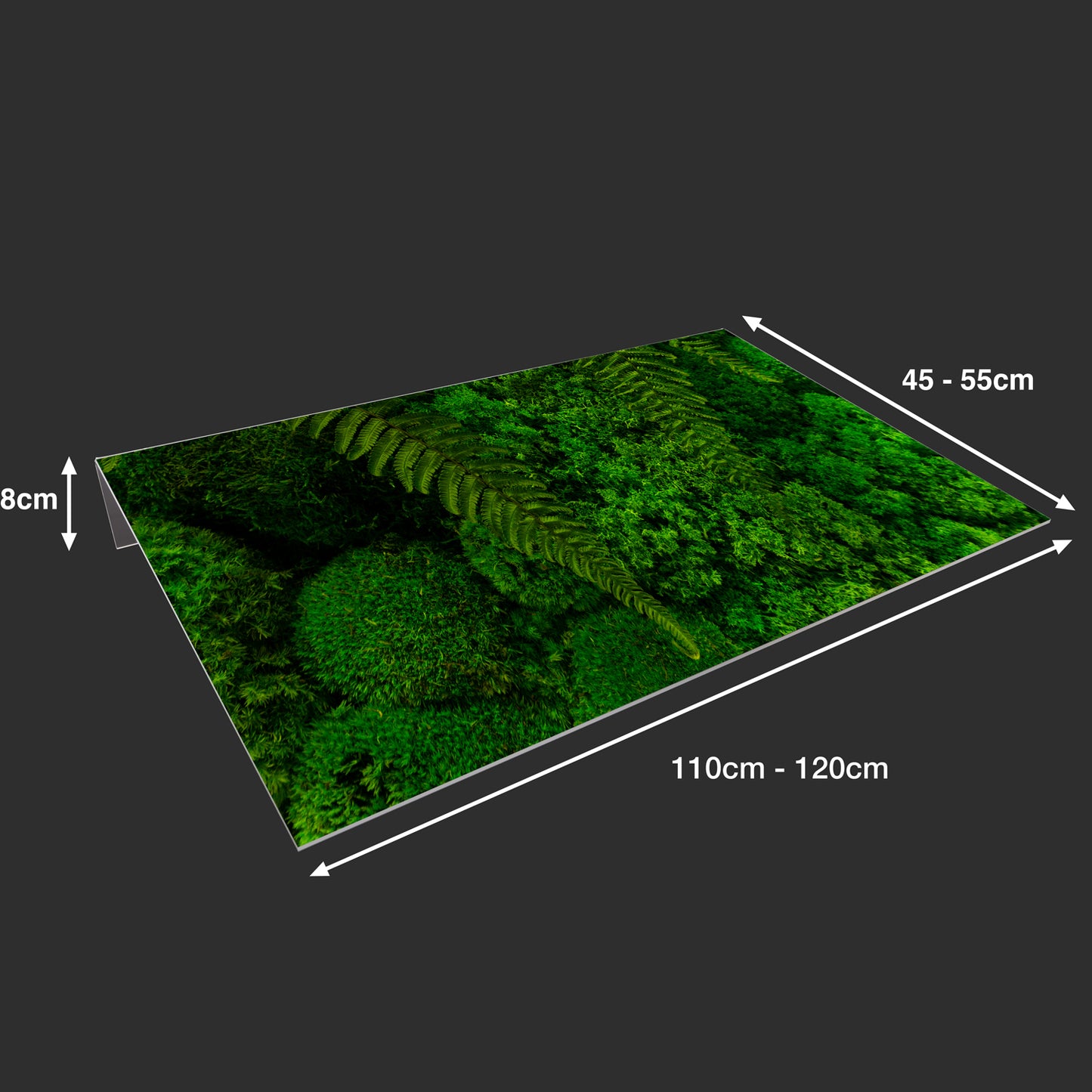Lichtschachtabdeckung – Grüne Pflanzen