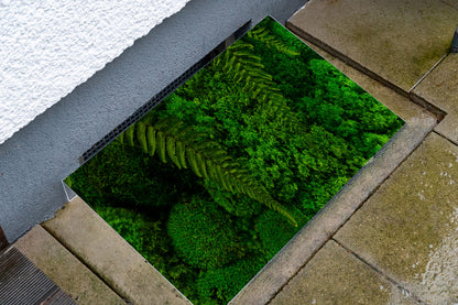 Lichtschachtabdeckung – Grüne Pflanzen