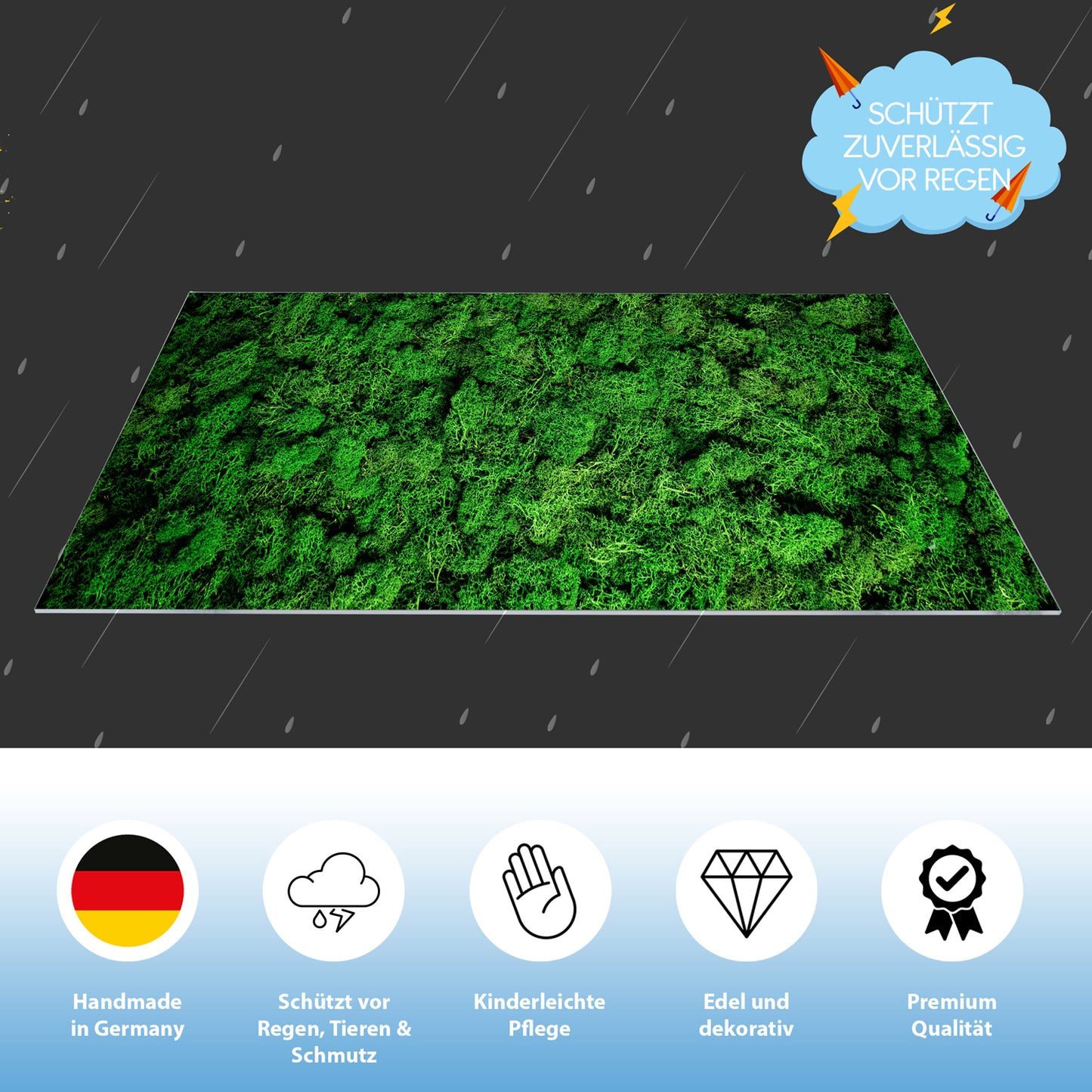 Lichtschachtabdeckung – Moos