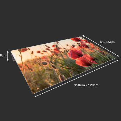 Lichtschachtabdeckung – Blumenwiese