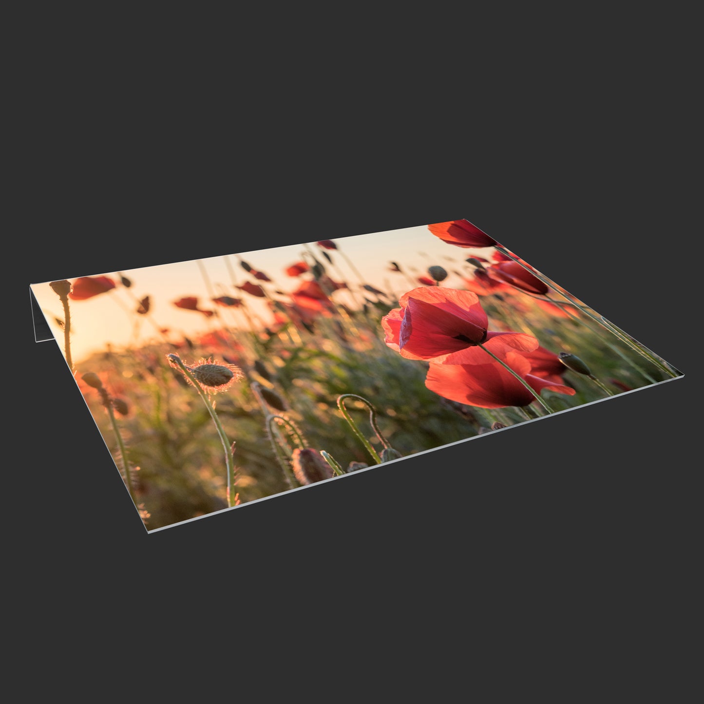 Lichtschachtabdeckung – Blumenwiese