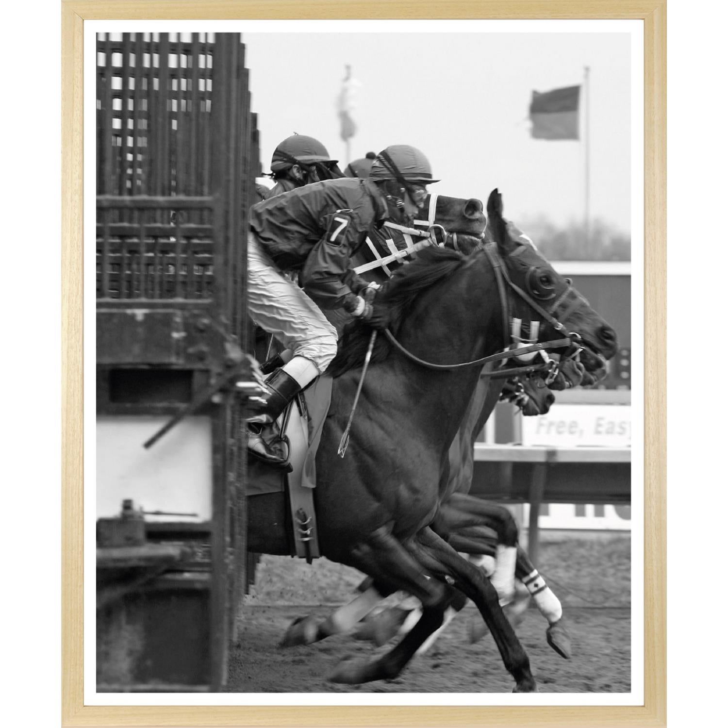 Rahmenbild - Pferderennen Schwarz Weiß