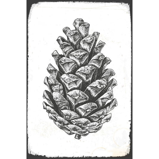 Blechschild - Pinecone