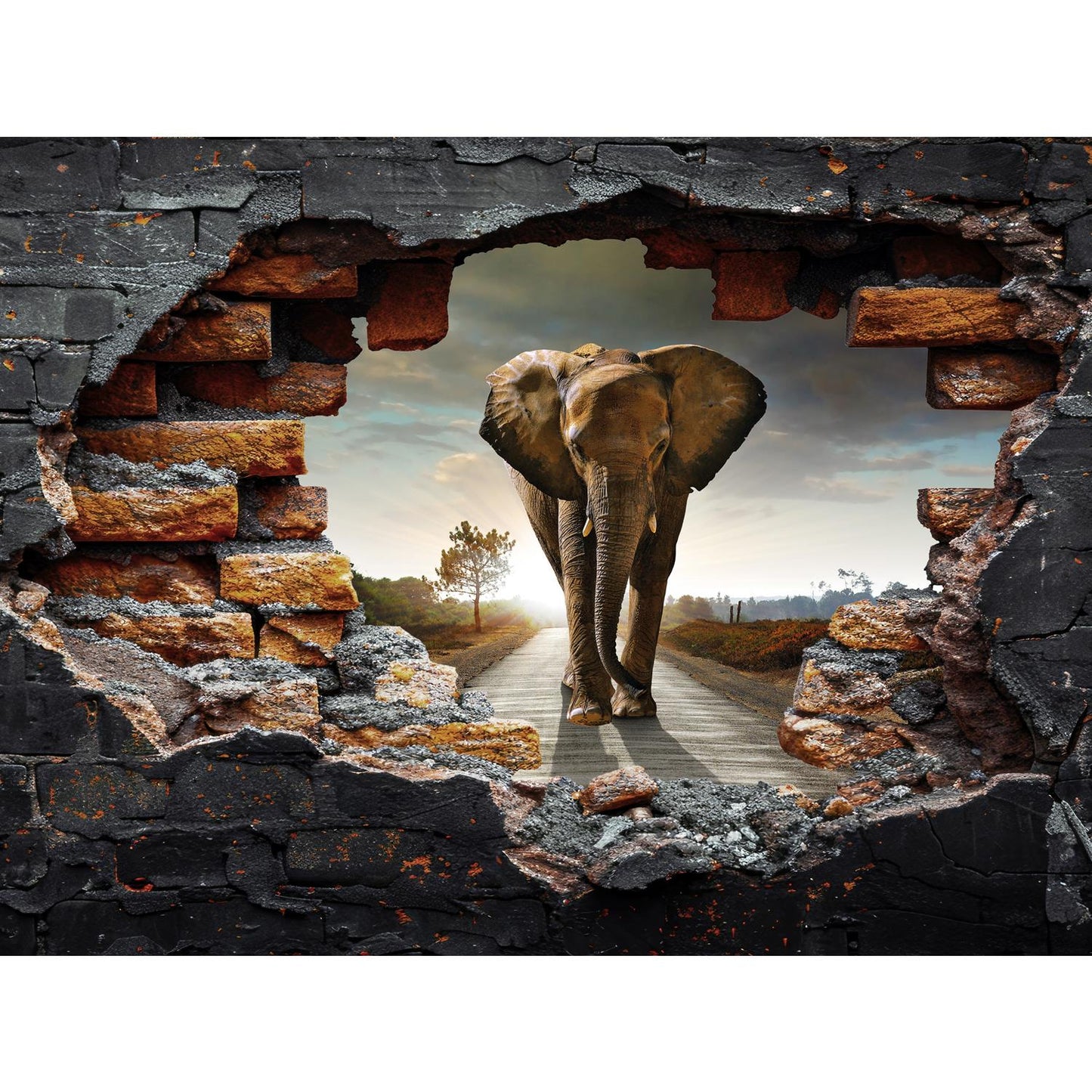 Spritzschutz - Elefant