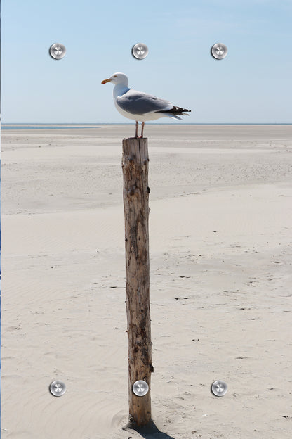 Garderobe - Möwe auf Stamm