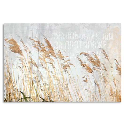 Acrylglasbild - Dancing Grasses