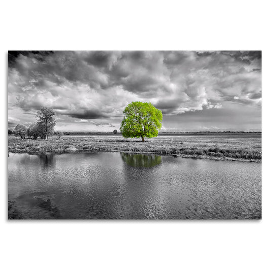 Acrylglasbild - Green Life