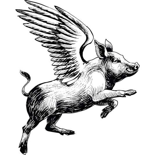 Steinuntersetzer-Set - Pig with Wings