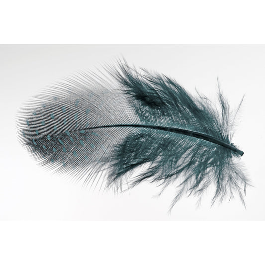 Spritzschutz - Feather